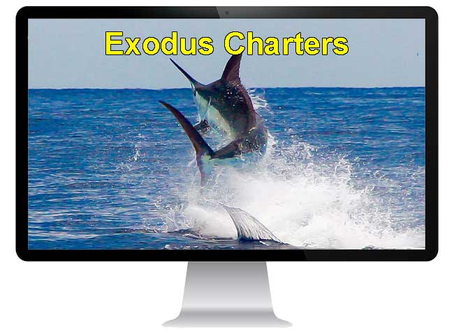  Jamaica Caribbean Helicopter Flights